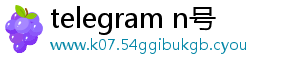 支持系统-telegram n号